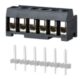 Terminal block: 31007107 - RIA: Pluggable Terminal Block 31007107 7 positions; Pitch = 5mm; Voltage = 250V; Current = 10A